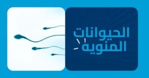 الحيوانات المنويه الدليل الشامل و كيفية تحسين صحتها