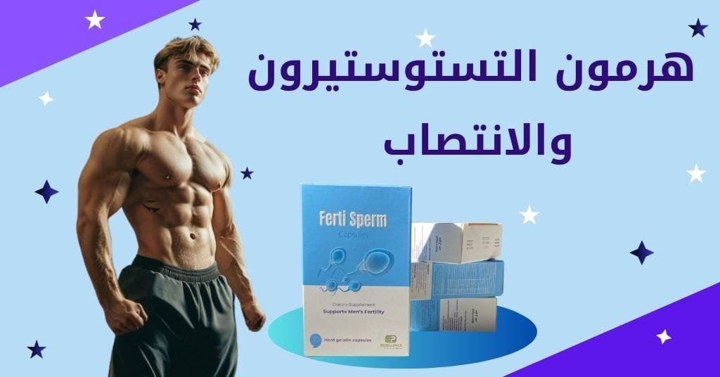 هرمون التستوستيرون والانتصاب (2)