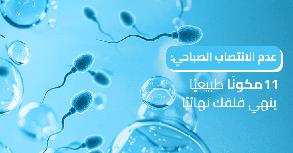 عدم الانتصاب الصباحي _ 11 مكونًا طبيعيًا ينهي قلقك نهائيًا!